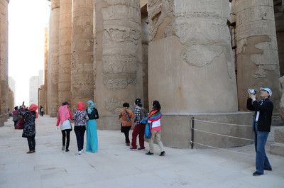 埃及可以和龍魚混養嗎：埃及神仙魚與龍魚混養埃及神仙魚與龍魚混養嗎