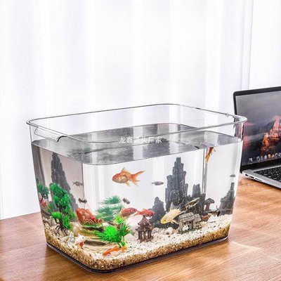 潮汕龍魚圖片大全欣賞