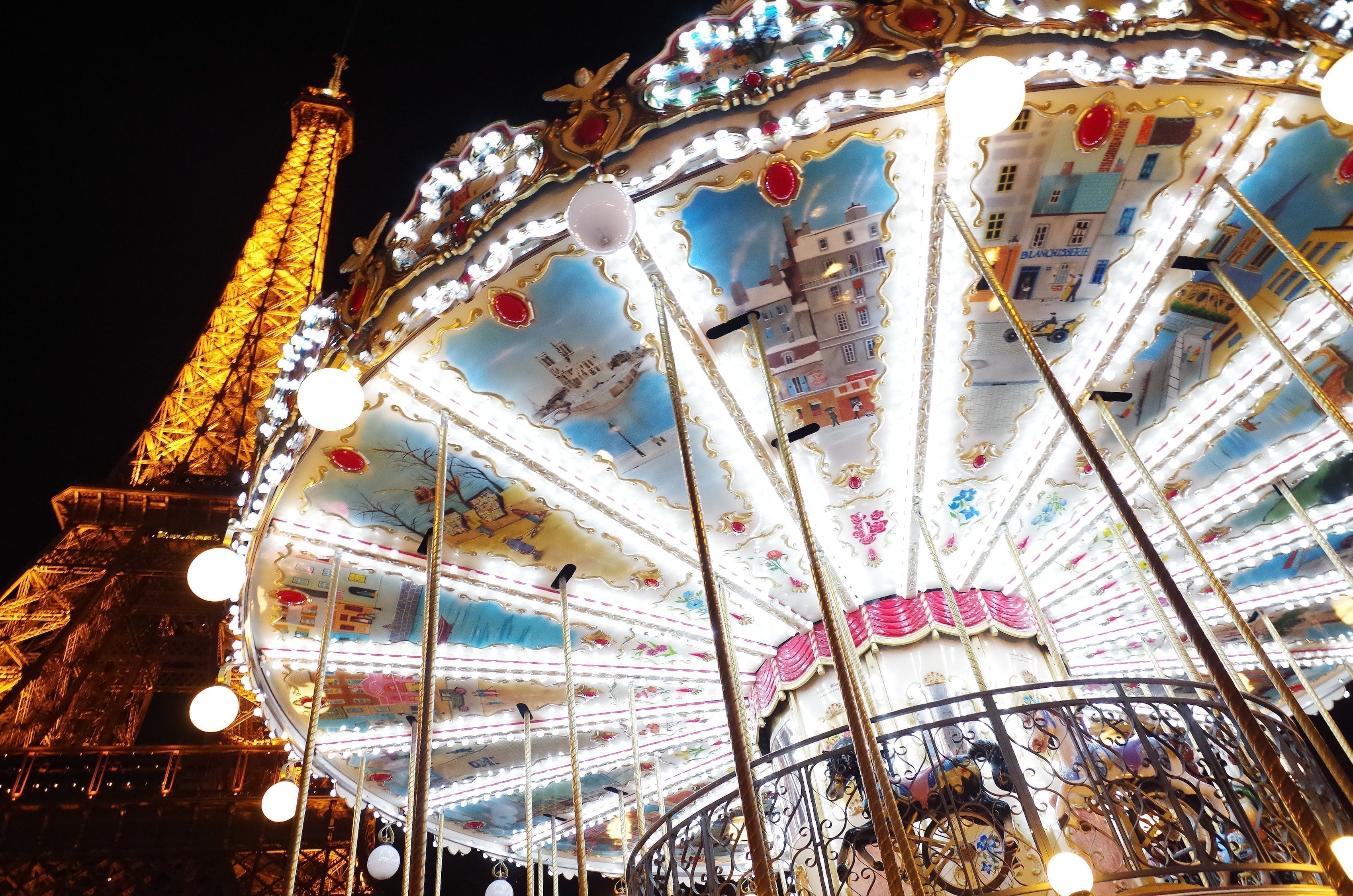 三門峽市湖濱區魚樂圈觀賞魚銷售店
