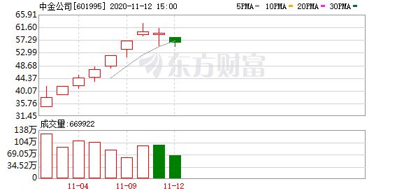 金龍魚比賽冠軍：金龍魚比賽冠軍不僅僅是一條魚
