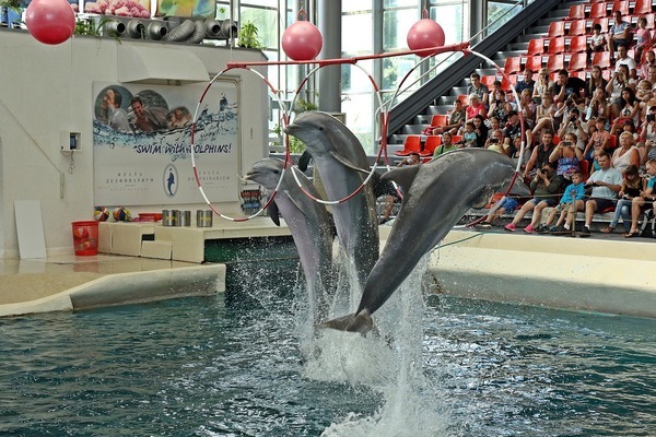 盤州市石橋魚樂門市（盤州石橋鎮樂民）