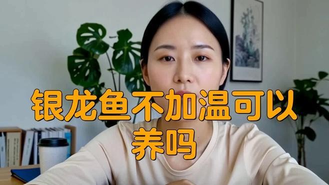 銀龍魚最低水溫不能低于多少攝氏度