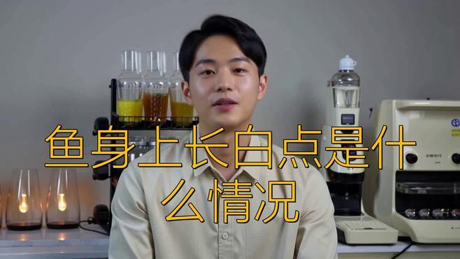 金龍魚背上長白點是什么病