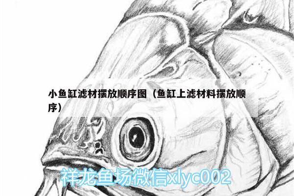 魚缸用增氧泵價(jià)格是多少:魚缸增氧機(jī)-xtrac增氧機(jī)-xtrac增氧機(jī) 六安市裕安區(qū)流星水族店 全國水族館企業(yè)名錄 六安市裕安區(qū)流星水族店 六安市裕安區(qū)流星水族店 全國水族館企業(yè)名錄