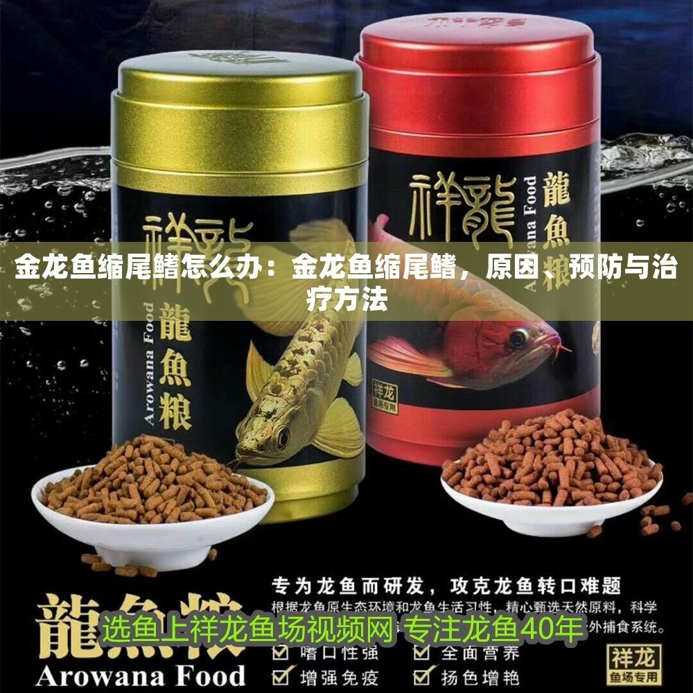 金龍魚縮尾鰭怎么辦：金龍魚縮尾鰭，原因、預防與治療方法