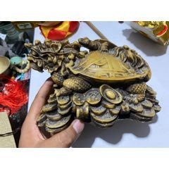 龍頭龜?shù)氖袌鰞r格是多少？