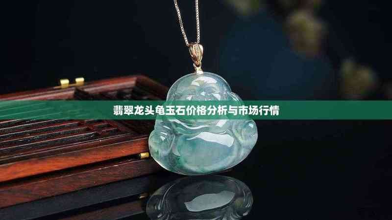 龍頭龜?shù)氖袌鰞r格是多少？