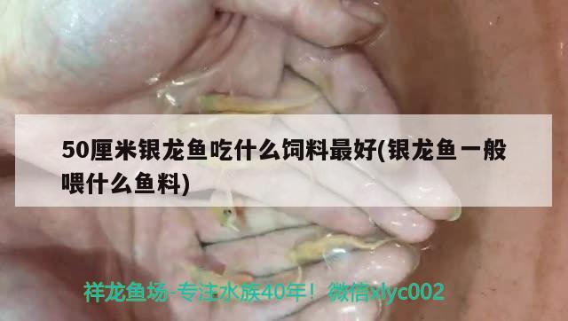 雷山縣達地水族鄉佳龍傳統手工粉店