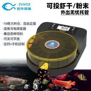 龍魚專用缸排名第一的品種：2024年最好的龍魚缸品牌