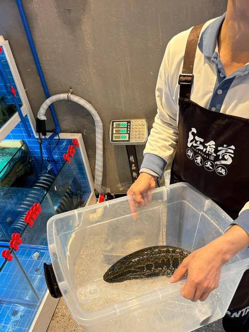 德陽新龍魚火鍋營業時間表圖片