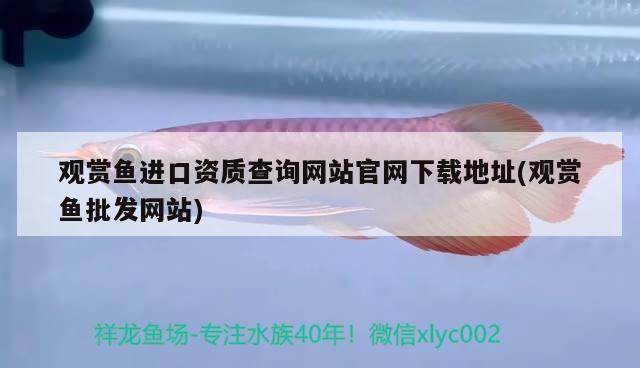 北京市竇店興強商貿中心 全國水族館企業名錄 第2張 北京市竇店興強商貿中心 北京市竇店興強商貿中心 全國水族館企業名錄 第2張