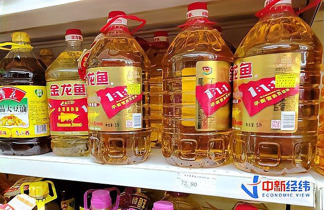 金龍魚是上市公司嗎？