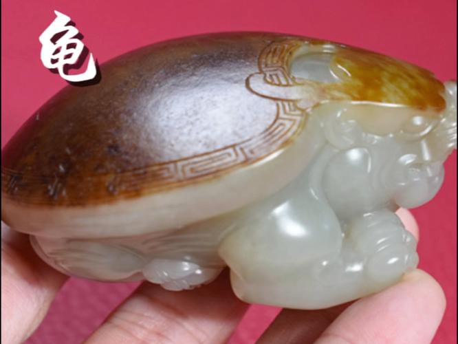 有沒有更多龍龜圖庫推薦？