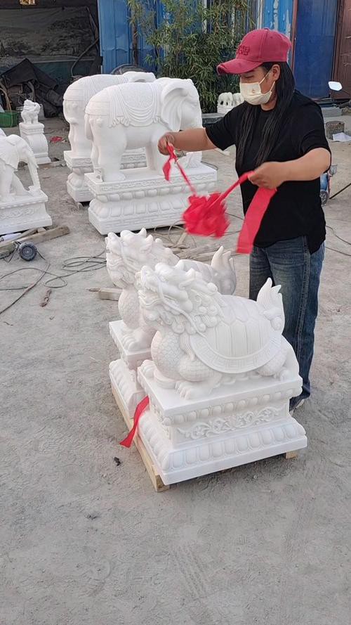 有沒有更多龍龜圖庫推薦？