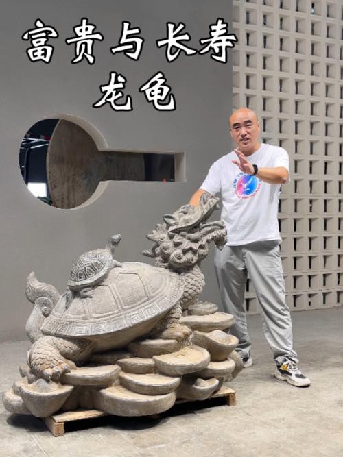 有沒有更多龍龜圖庫推薦？