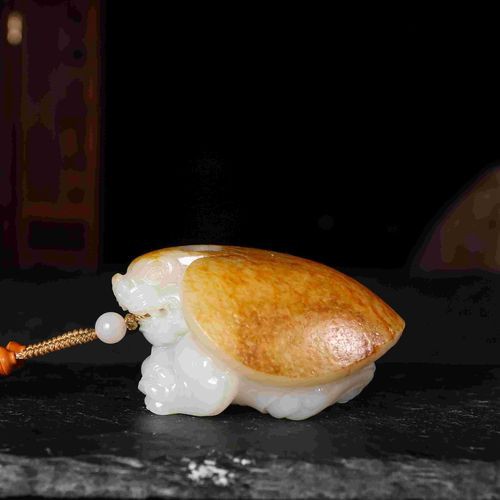 有沒有更多龍龜圖庫推薦？