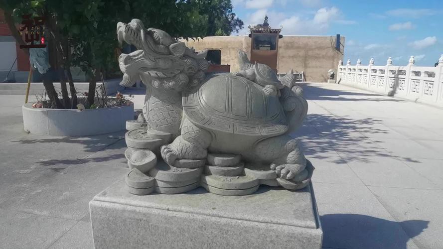 有沒有更多龍龜圖庫推薦？