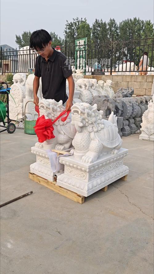 有沒有更多龍龜圖庫推薦？