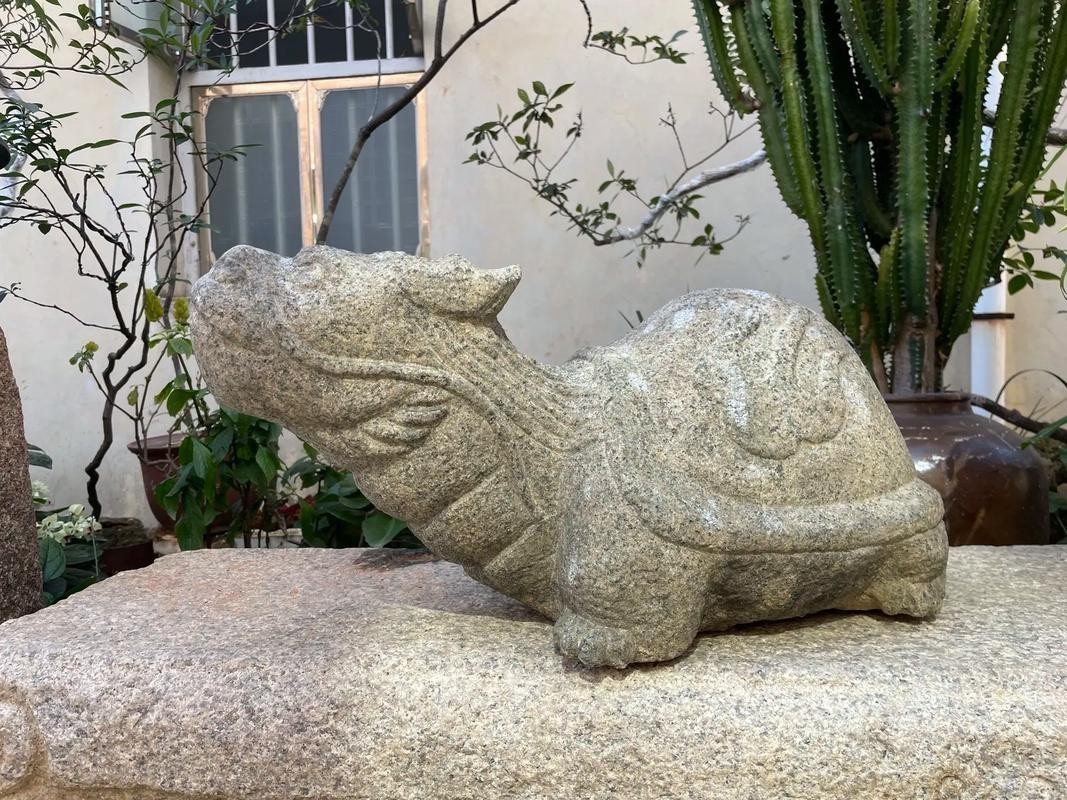 有沒有更多龍龜圖庫推薦？