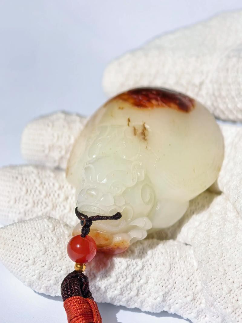 有沒有更多龍龜圖庫推薦？