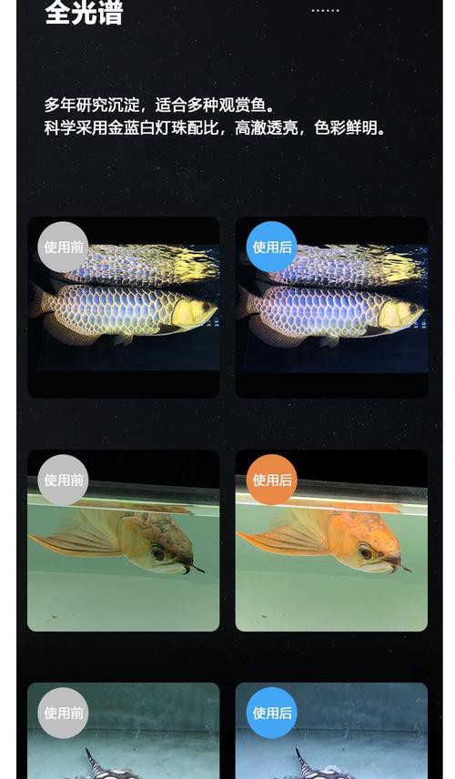 金龍魚用什么燈發(fā)色好呢