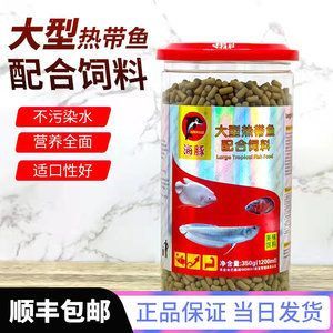 戰船和金龍魚混養可以嗎怎么養：戰船和金龍魚混養可以嗎怎么養戰船和金龍魚混養可以嗎