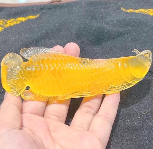 龍魚(yú)圖片頭像高清大圖