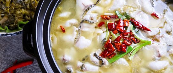 10cm銀龍魚小魚好養嗎：10cm銀龍魚小魚是否好養 10cm銀龍魚小魚好養嗎：10cm銀龍魚小魚是否好養 龍魚百科