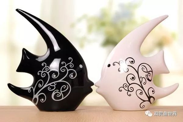 如何判斷埃及神仙魚性成熟（埃及神仙魚的性成熟可以觀察其外觀和行為表現(xiàn)來(lái)判斷）