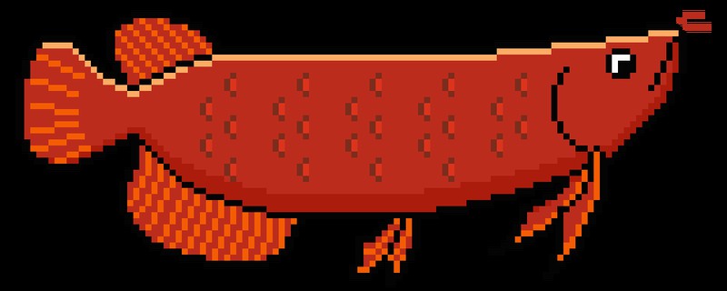 紅龍魚圖片高清頭像大全