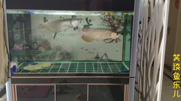 廣州市荔灣區(qū)統(tǒng)發(fā)水族店