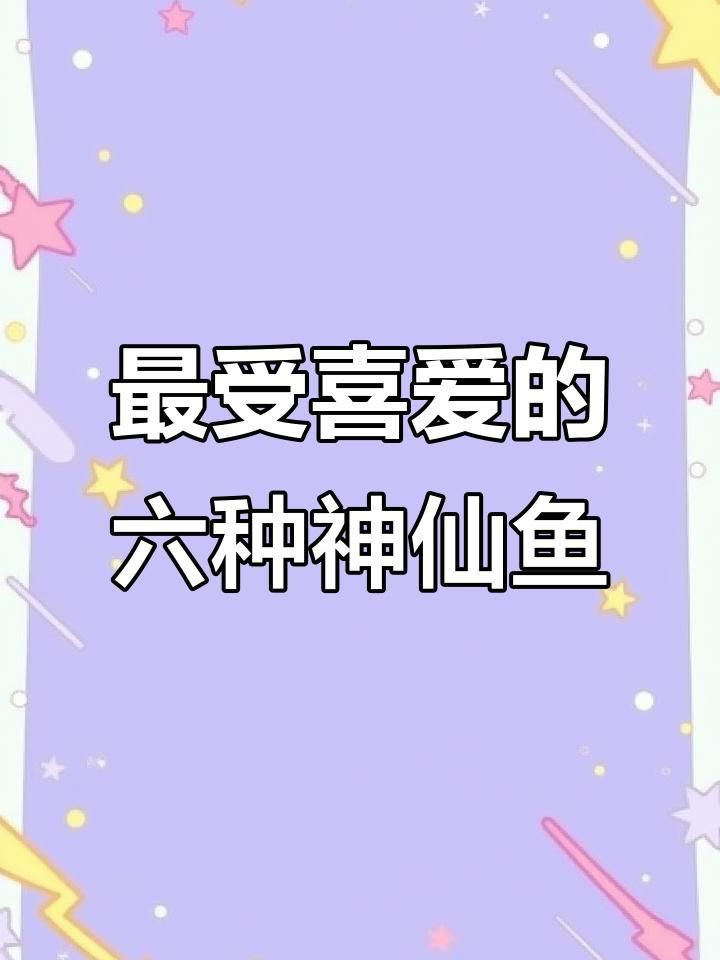 哪種神仙魚最好看 哪種神仙魚最好看 龍魚百科 第2張