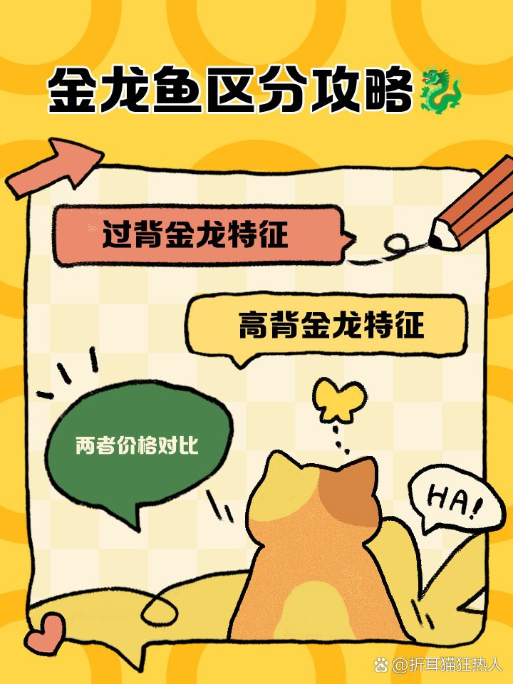 如何區分金頭過背金龍魚的幼魚和成魚？