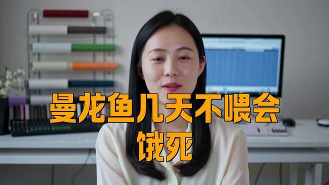 曼龍魚不喂食能撐多久？