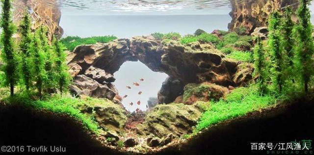 惠陽區新圩鎮柏龍灣水族館（惠陽區新圩鎮柏龍灣水族館電話）