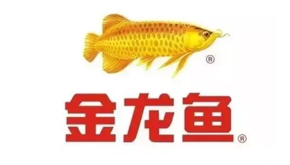 魚缸造景先放沙還是先放水(魚缸造景先鋪沙還是先放石頭) 廣州市荔灣區(qū)長(zhǎng)虹水族館(廣州市荔灣區(qū)長(zhǎng)虹水族館地址) 全國(guó)水族館企業(yè)名錄 廣州市荔灣區(qū)長(zhǎng)虹水族館(廣州市荔灣區(qū)長(zhǎng)虹水族館地址) 廣州市荔灣區(qū)長(zhǎng)虹水族館(廣州市荔灣區(qū)長(zhǎng)虹水族館地址) 全國(guó)水族館企業(yè)名錄