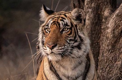 太康縣七秒水族館（太康縣七秒水族館地址） 太康縣七秒水族館（太康縣七秒水族館地址） 全國水族館企業名錄