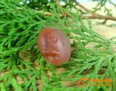 紅金龍魚拍賣網站（與紅金龍魚相關的拍賣網站或在線平臺或在線平臺） 紅金龍魚拍賣網站（與紅金龍魚相關的拍賣網站或在線平臺或在線平臺） 龍魚百科 第2張