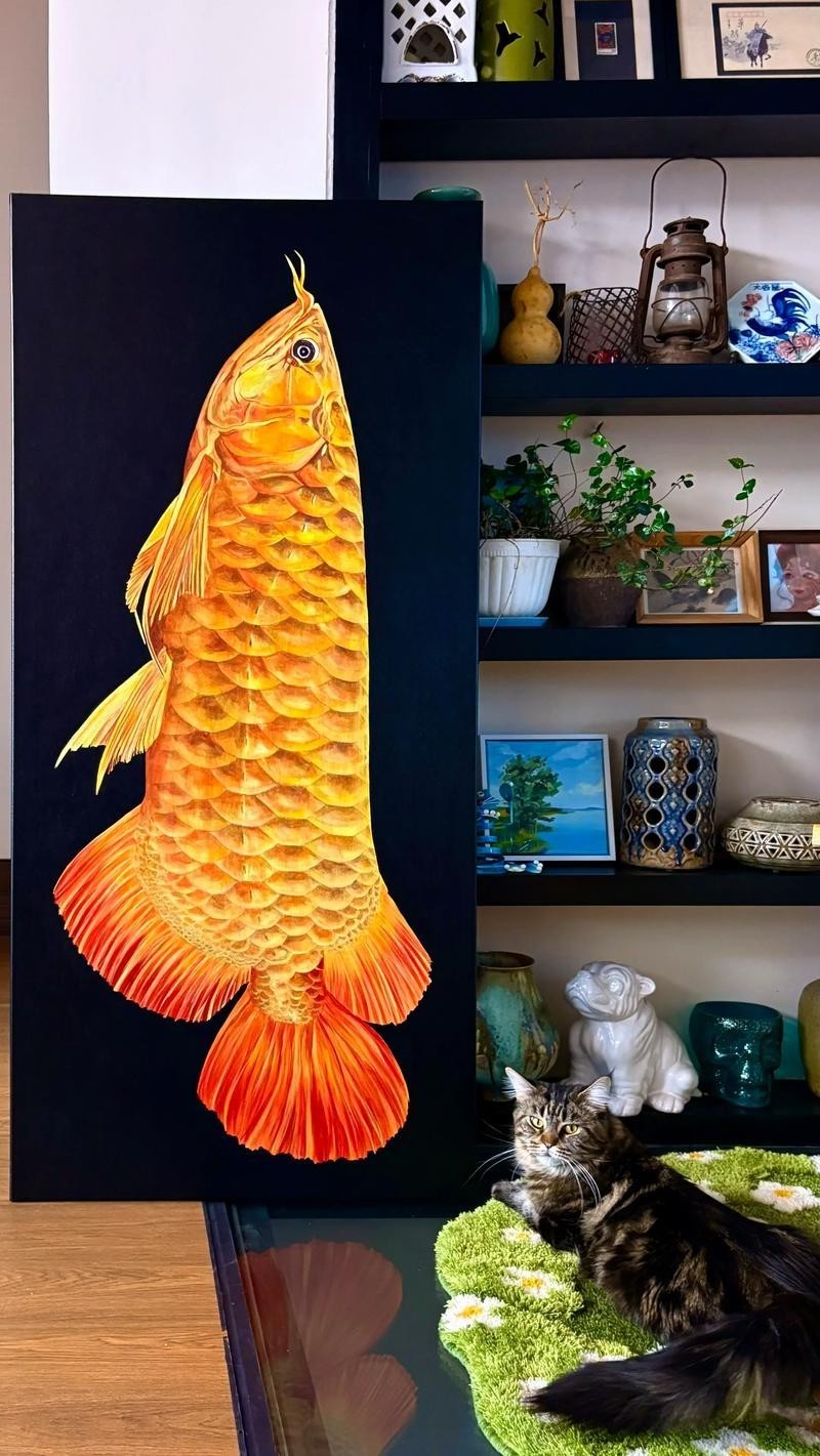 龍魚是什么樣的圖片簡筆畫