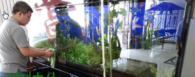 養(yǎng)龍魚(yú)怎么清洗魚(yú)缸內(nèi)部水垢：清洗魚(yú)缸內(nèi)部水垢的幾種方法