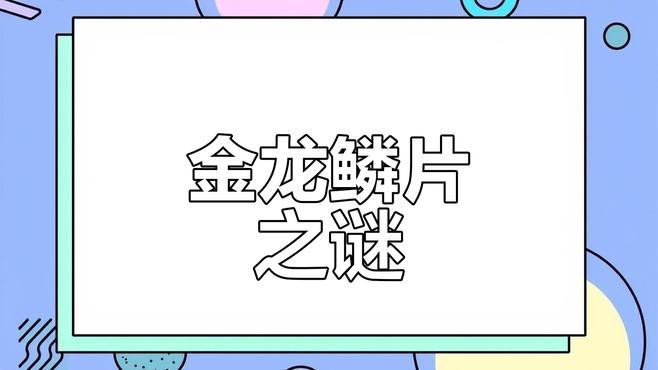 金龍魚和銀龍魚的圖片區別