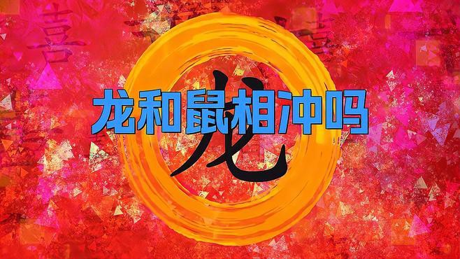 屬鼠和屬龍的合作中常見的問題有哪些？