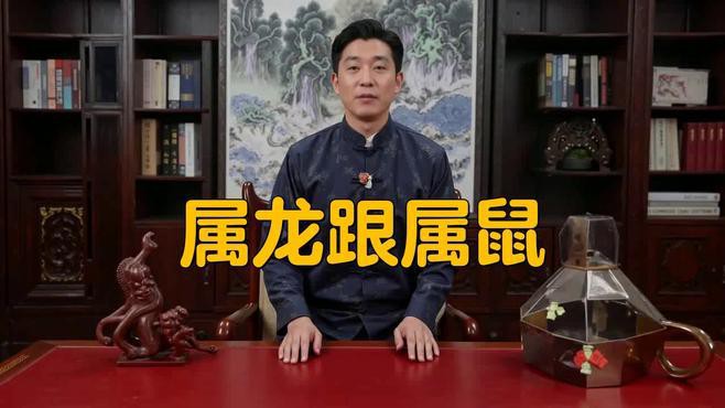 屬鼠和屬龍的合作中常見的問題有哪些？