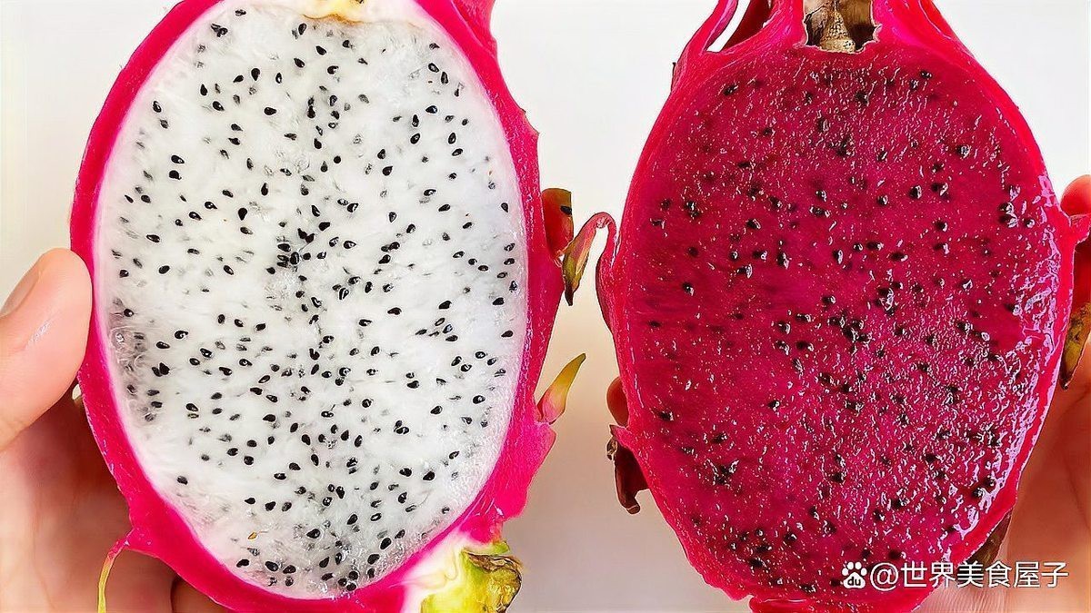 如何判斷紅心火龍果是否被染色？ 如何判斷紅心火龍果是否被染色？ 龍魚百科 第1張