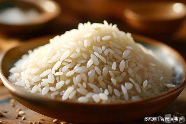 鎮賚縣鎮賚鎮定心海水觀賞魚工作室（鎮賚魚館電話號碼）