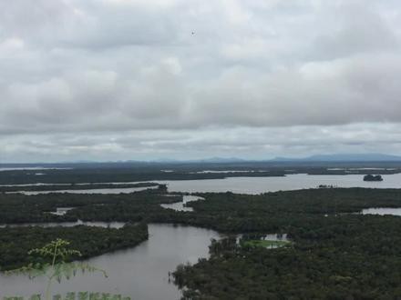 印尼小紅龍魚價格走勢如何分析視頻 印尼小紅龍魚價格走勢如何分析視頻 龍魚百科 第2張