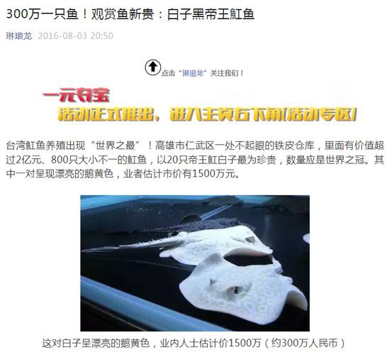 浙江龍魚(yú)市場(chǎng)價(jià)格表圖片