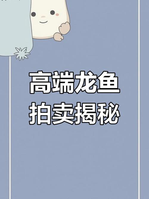 浙江龍魚(yú)市場(chǎng)價(jià)格表圖片