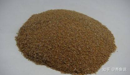 龍魚專用飼料的選購技巧（如何選擇龍魚專用飼料）