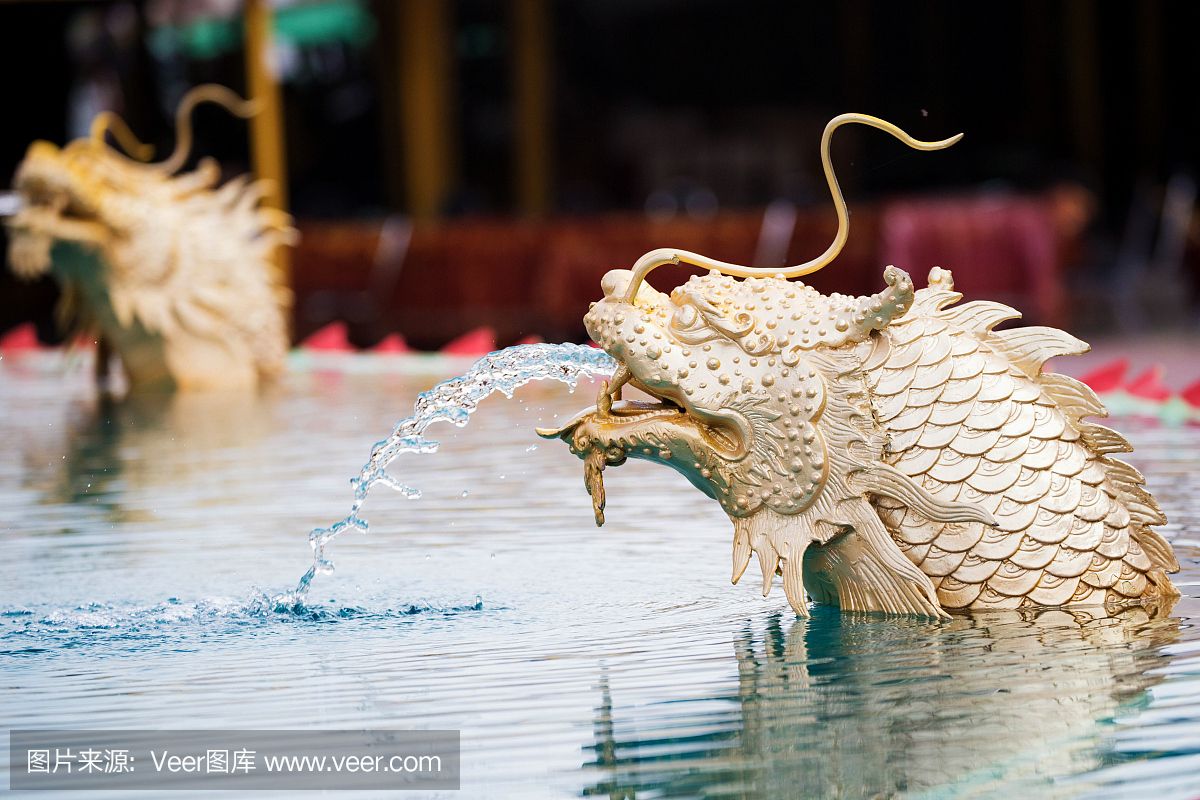 龍魚浮出水面咬空氣：龍魚浮出水面咬空氣可能是由多種因素引起的